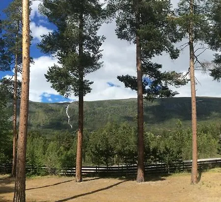 营地 福鲁里露营旅馆 3*