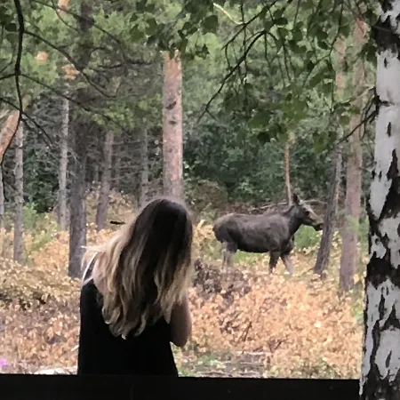 福鲁里露营旅馆 3*