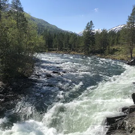 福鲁里露营旅馆 3*